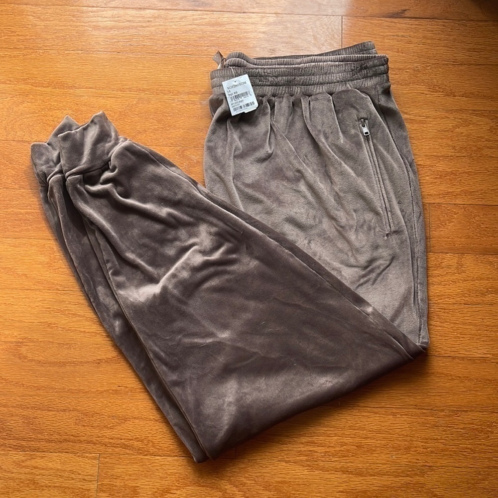 Skims velour Joggers 3X